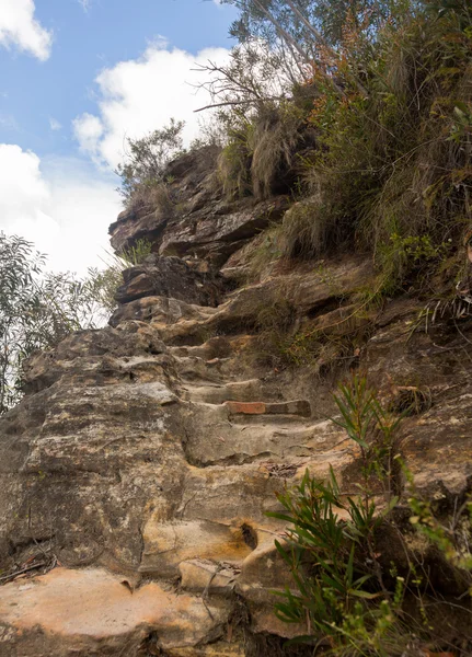 Grose valley v modré hory, Austrálie — Stock fotografie