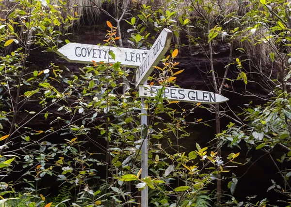 Grose Valley in blauen Bergen Australien — Stockfoto