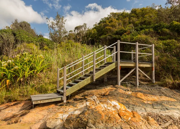 Verhoogde stappen door bos in nsw — Stockfoto