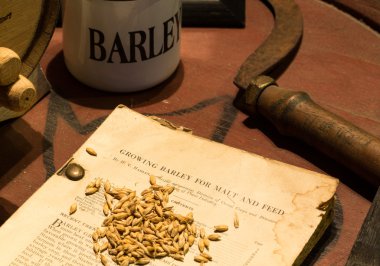 Antique book for growing barley on barrel clipart