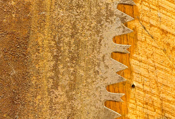 Macro of teeth of rusty large circular saw blade — Stock Photo, Image