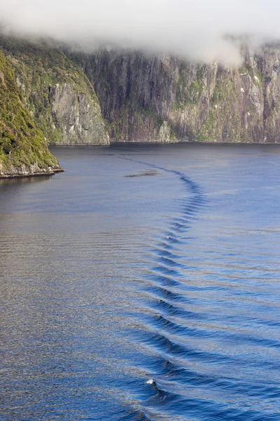 Fjord milford ses Yeni Zelanda — Stok fotoğraf