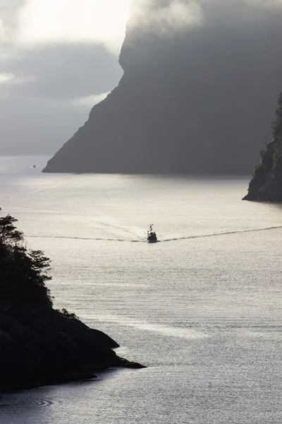 Fjord van milford sound in Nieuw-Zeeland — Stockfoto