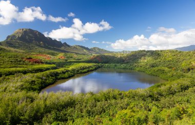 Menehune sebebi kauai hawaii