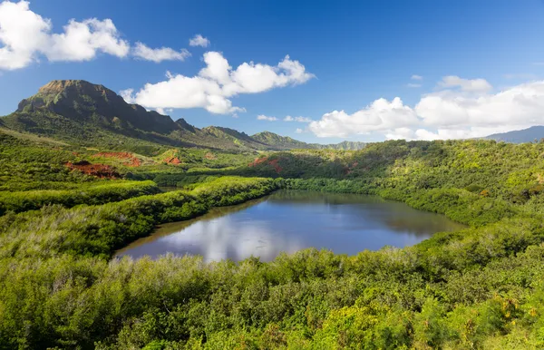 メネフネ養魚池カウアイ島ハワイ — ストック写真