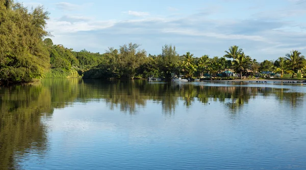 Mynningen av hanalei floden nära havet kauai — Stockfoto