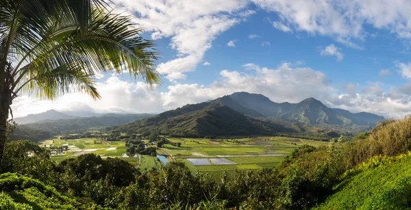 Hanalei dalen från princeville förbise kauai — Stockfoto