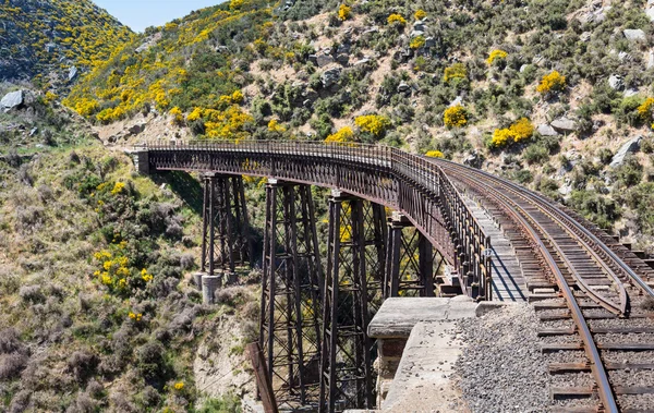 สะพานรถไฟบน Taieri Gorge นิวซีแลนด์ — ภาพถ่ายสต็อก