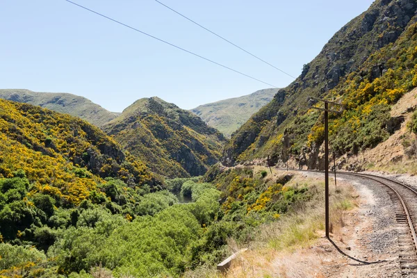 Vasúti pálya fel taieri gorge Új-Zéland — Stock Fotó