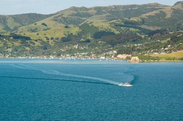 Appel d'offres pour un navire de croisière au départ du port d'Akaroa NZ — Photo