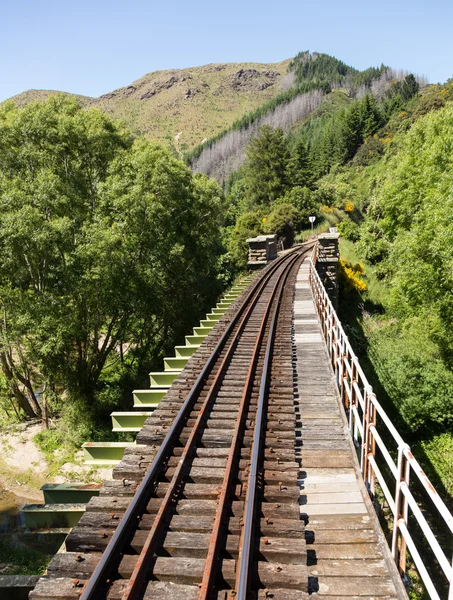 Vasúti pálya fel taieri gorge Új-Zéland — Stock Fotó