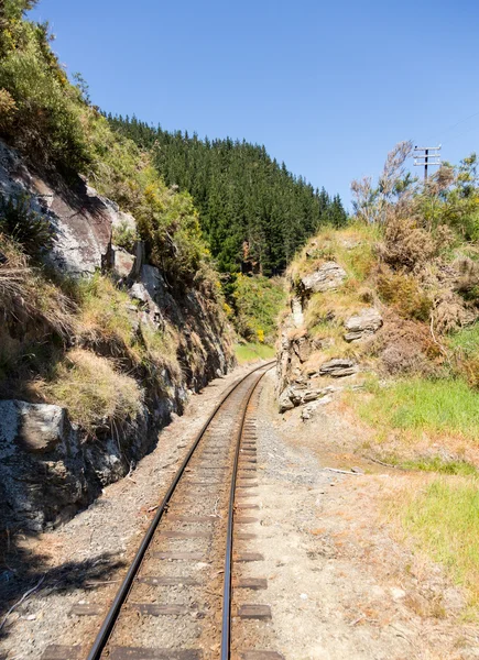 Caminho de ferro até Taieri Gorge Nova Zelândia — Fotografia de Stock