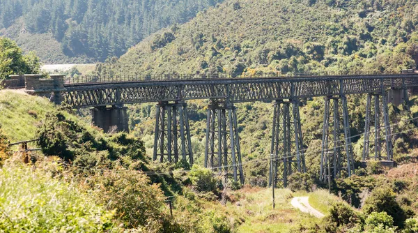 Eisenbahnbrücke hinauf zur Taieri-Schlucht Neuseeland — Stockfoto