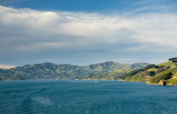 Costa de Akaroa en Nueva Zelanda — Foto de Stock