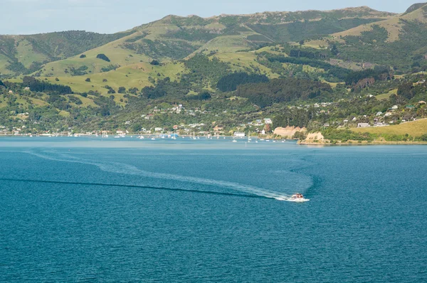 Cruise schip inschrijving verlaten akaroa haven nz — Stockfoto