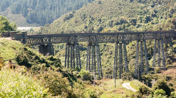 Σιδηροδρομική γέφυρα επάνω taieri φαράγγι Νέα Ζηλανδία — Φωτογραφία Αρχείου