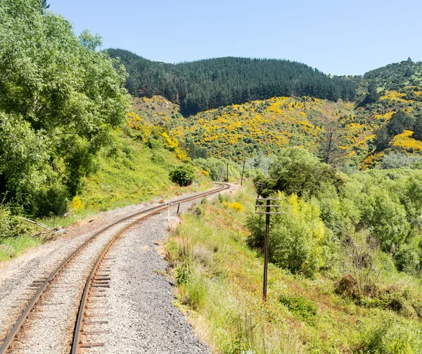 Ferrocarril hasta Taieri Gorge Nueva Zelanda — Foto de Stock