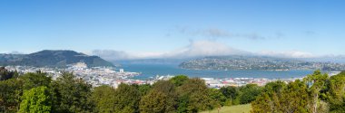 Panoramik manzara Otago Körfezi Dunedin