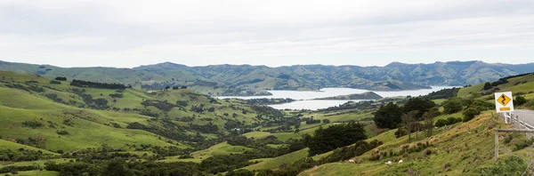 Akaroa partvonala Új-Zélandon — Stock Fotó