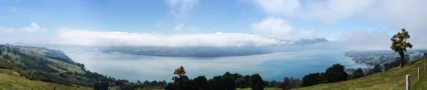 Panoramisch landschap Otago Bay Dunedin — Stockfoto