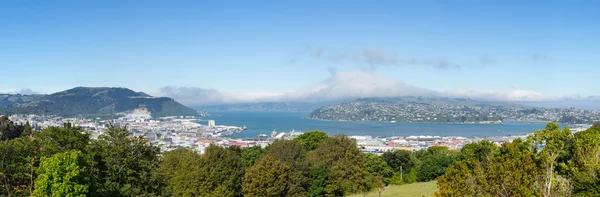 Panoramalandskap Otago Bay Dunedin — Stockfoto