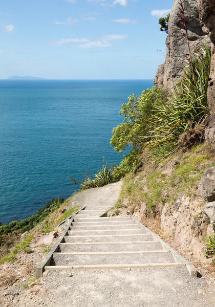 Tauranga, Yeni Zelanda, dik zammı Dağı — Stok fotoğraf