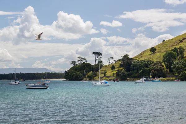 Tauranga, Yeni Zelanda, mount — Stok fotoğraf