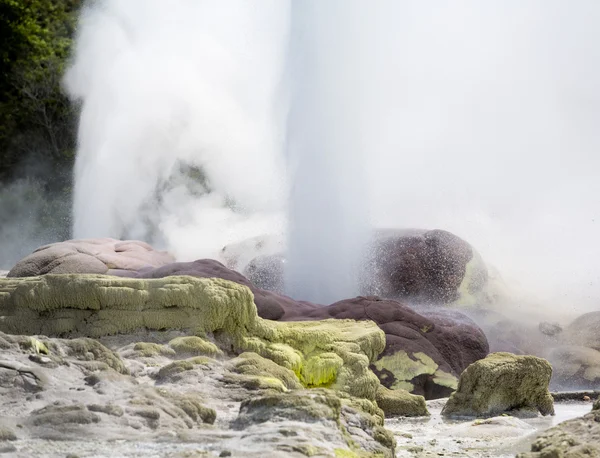 Oblast Whakarewarewa thermal gejzír — Stock fotografie