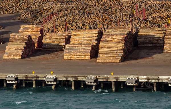 Stapel von Baumstämmen bereit für den Export auf dem Seeweg — Stockfoto