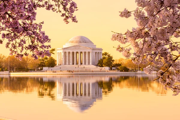 Prachtige vroege ochtend jefferson memorial — Stockfoto