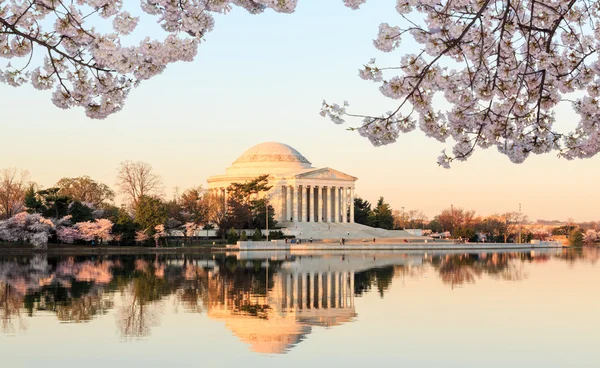 Krásné ranní jefferson memorial — Stock fotografie