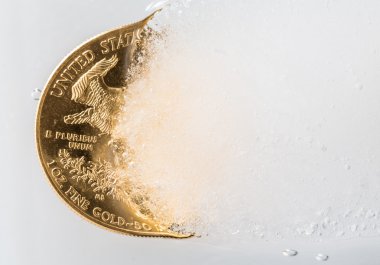 derin dondurucu ortaya çıkan golden eagle para