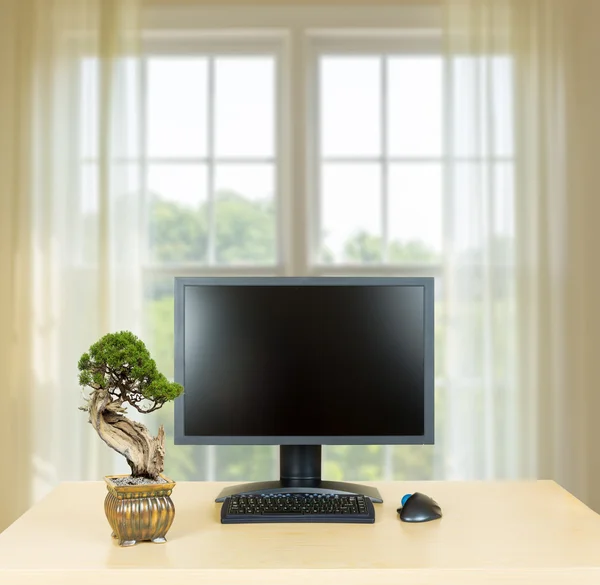 Pequeño árbol de bonsái en escritorio de oficina llano con monitor —  Fotos de Stock