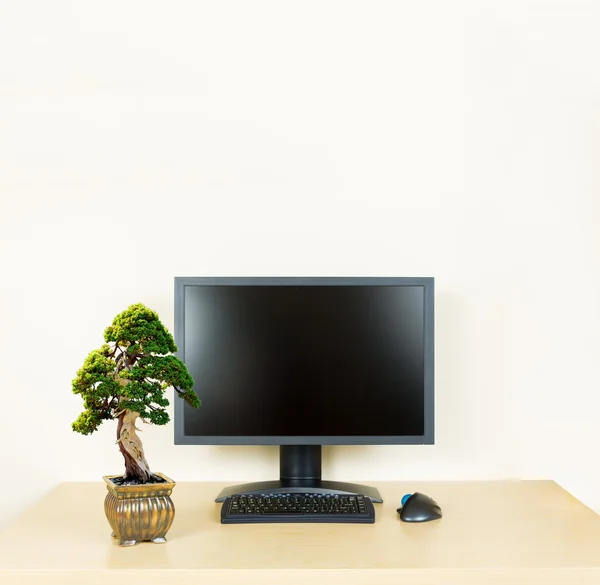 Pequeño árbol de bonsái en escritorio de oficina llano con monitor —  Fotos de Stock