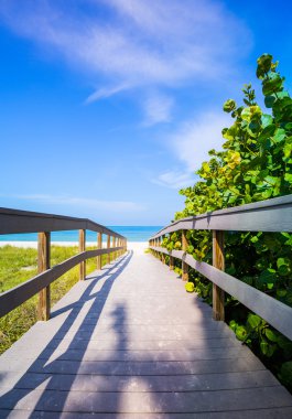 Boardwalk arasında deniz yulaf Beach Florida