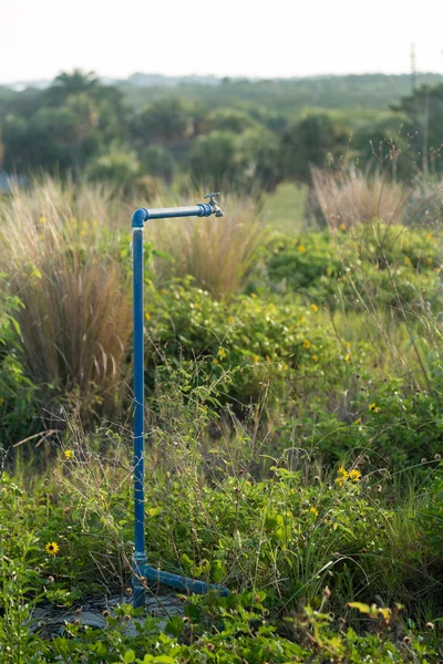 Vattenpost tap och blå vattenledning i vegetation — Stockfoto