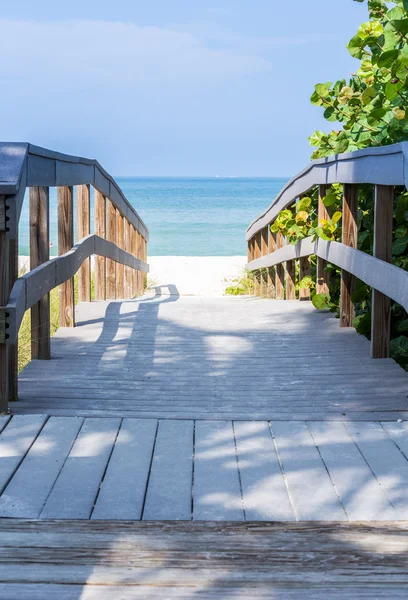 Paseo marítimo entre avena de mar a la playa en Florida —  Fotos de Stock