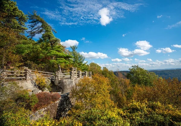 库珀岩石州立公园俯瞰西维吉尼亚州的Cheat河，一片秋天的色彩 — 图库照片