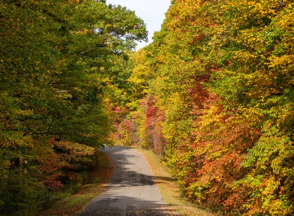 Cesta v Coopers Rock State Park v západní Virginii s podzimními barvami — Stock fotografie