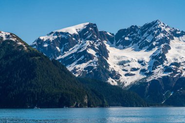 Alaska 'daki Seward limanı yakınlarındaki dağın zirvesinde karların altında balıkçı tekneleri.