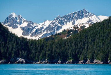 Alaska 'daki Seward limanına bakan dağın tepesi karla kaplıydı.