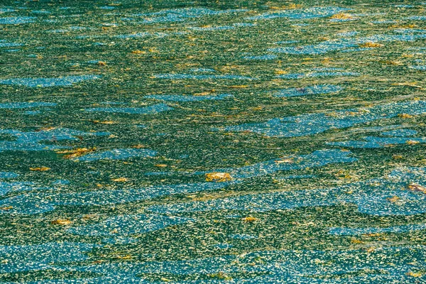 在阿拉斯加苏厄德附近的复活湾收集海草和其他垃圾 — 图库照片