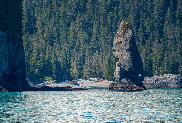 Dramatic Rocky Outcrops Resurrection Bay Port Seward Alaska — Stockfoto