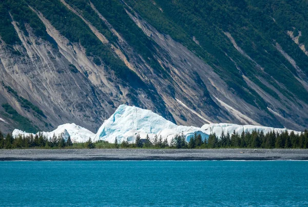 Ευρεία Άποψη Του Παγετώνα Αρκούδα Εισέρχονται Στον Κόλπο Της Ανάστασης — Φωτογραφία Αρχείου