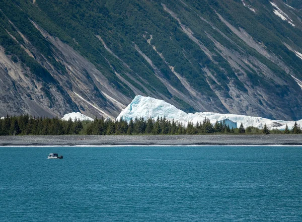 セワード アラスカ近くの復活湾に入るベア氷河の広い眺め — ストック写真