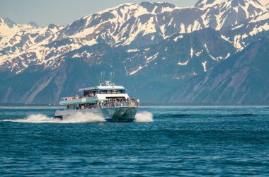 Seward, Alaska - 3 Haziran 2022: Kenai Fjord yaban hayatı karlı dağlarda tur teknesi