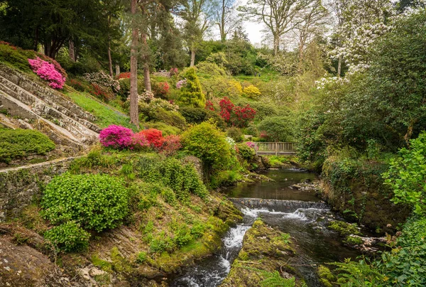 春天里 美丽的兰花和杜鹃花和灌木丛沿着溪谷在令人心旷神怡的花园里绽放着华丽的色彩 — 图库照片