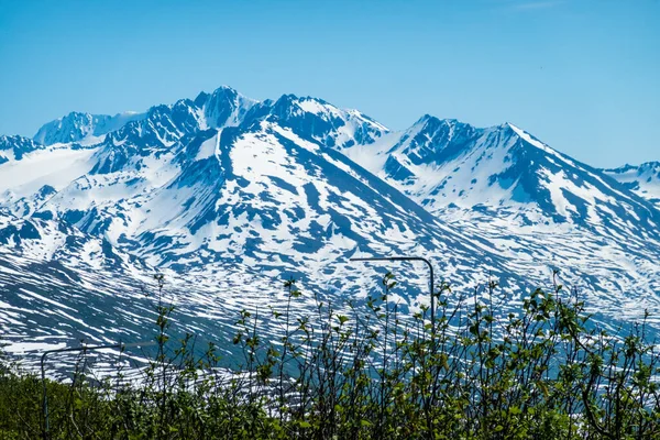 Vue Des Majestueuses Montagnes Col Thompson Près Valdez Alaska — Photo