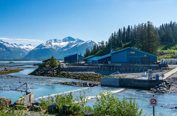 Valdez Juni 2022 Salomo Gulch Zalmkwekerij Bij Het Waterlettertype Valdez — Stockfoto
