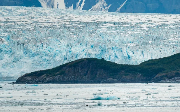 Primer Plano Grietas Glaciar Hubbard Con Árboles Para Dar Escala — Foto de Stock